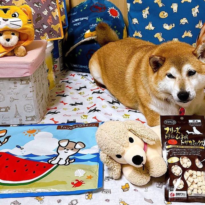 86003010 30b0 4928 9415 86b381b944da 1661405290209