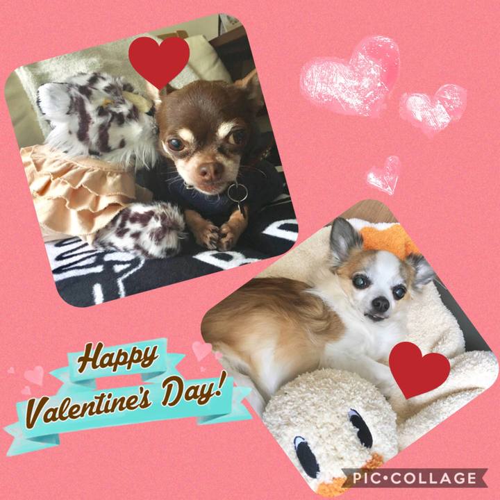 86005fb1 a082 4a97 9e00 4b6d318fdaec 1550097650021