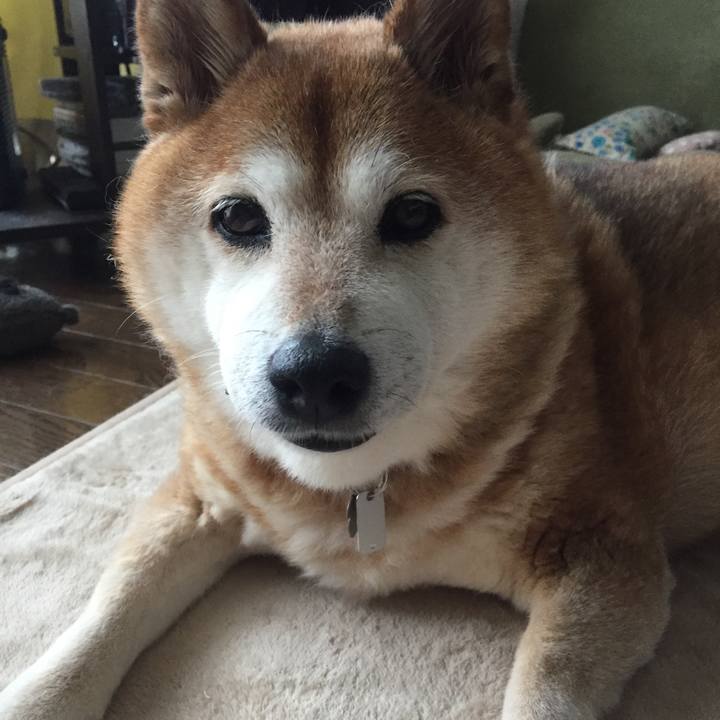 86006d29 a815 4d6e b6f6 a211636d3bf6 1528600274365