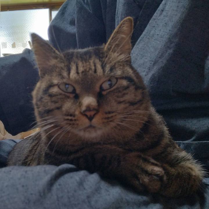 86008688 a332 432e a643 7597cc07f9a9 1666135747138