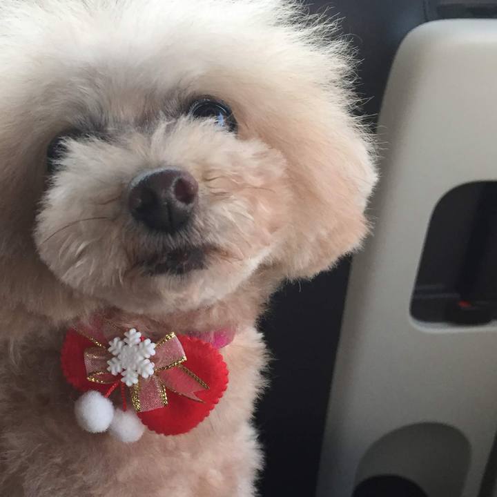 8600aaa0 95da 40a7 a121 9fcb611e72b9 1769896315106