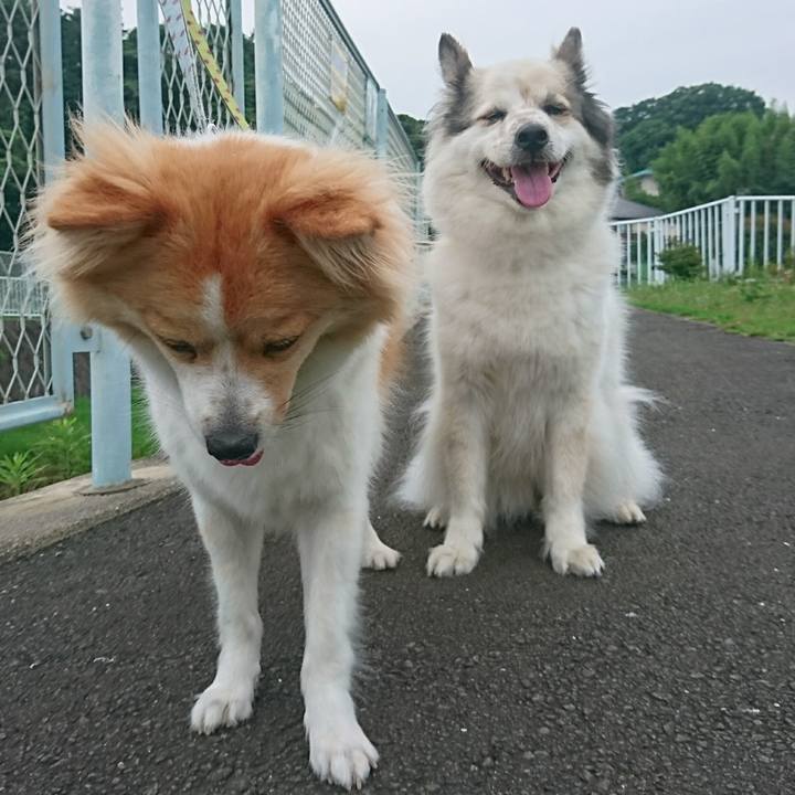 8600ca6e 2927 4932 b88f 064c22c51668 1562325070394