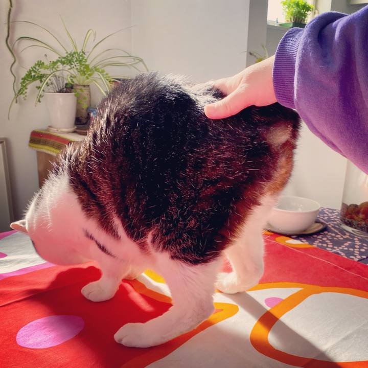 8600fa90 d862 4a17 b44a 70dcda917e1b 1578196643262