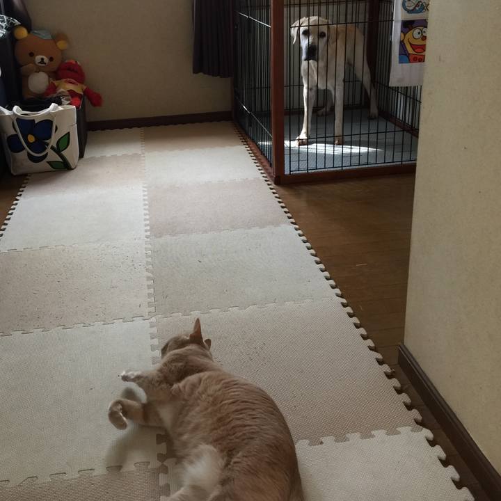 86011a72 35ab 4357 b328 6a90a9a650e5 1537929116648