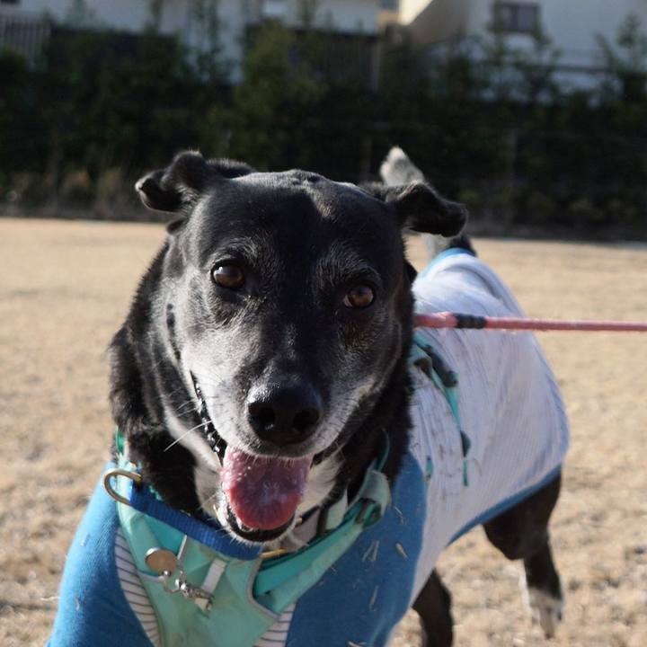 86011e39 d4fa 4a25 b002 bc1ed2e35818 1772328037251