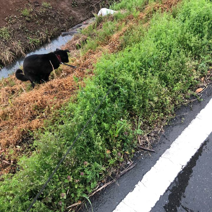 86014fa9 cbf9 4170 b64c 0baf6dc4ba98 1587331810806