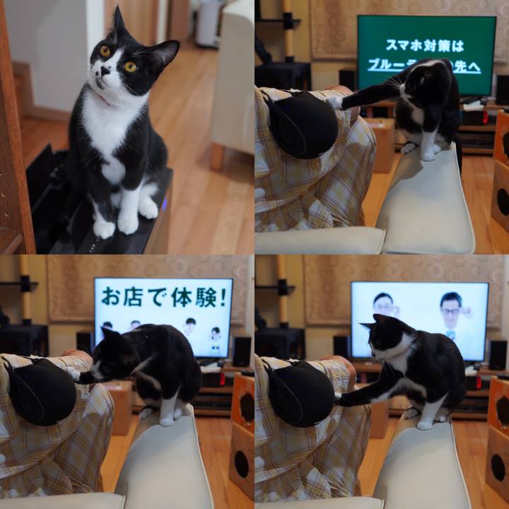 8601891f 22cb 4d55 be30 94fcf46fb5ec 1591194023418