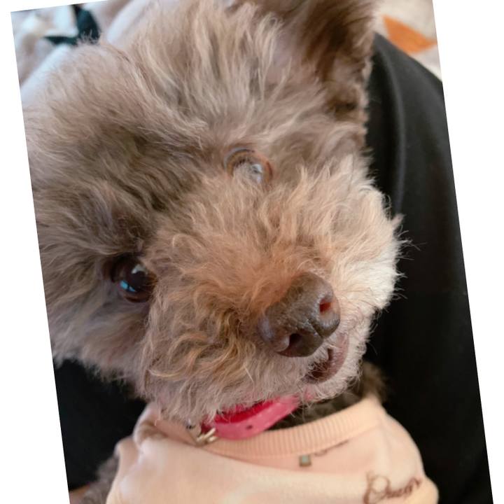 8601a81c 3fb5 4d12 9843 139b37bcbf49 1639873279666