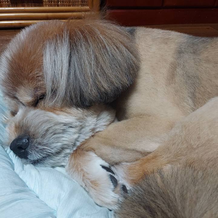 8601c9d9 49a6 4ad6 9a79 87bdbede43b6 1633865168476