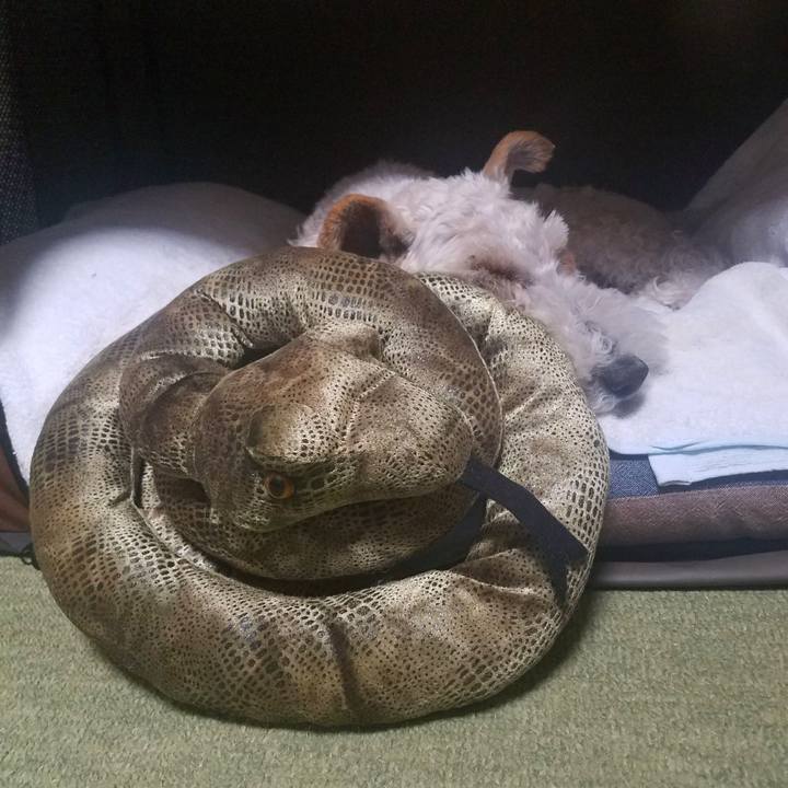 8601dc08 cbce 4ae6 b2a7 02703d521266 1591020404440