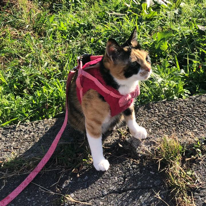 8601ed42 5297 4887 96a1 cf4a3b9219d3 1632954200018