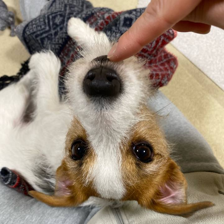 86024b8c e3f3 405d 86ea 72bbd31f9302 1675856450367