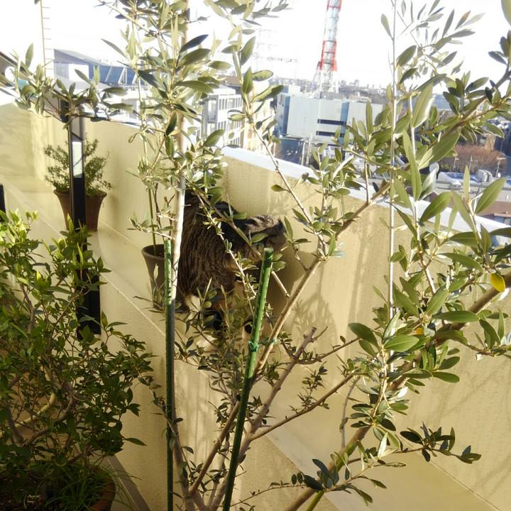 8602accc ac46 4323 96eb 5505e281dbd5 1515540648249