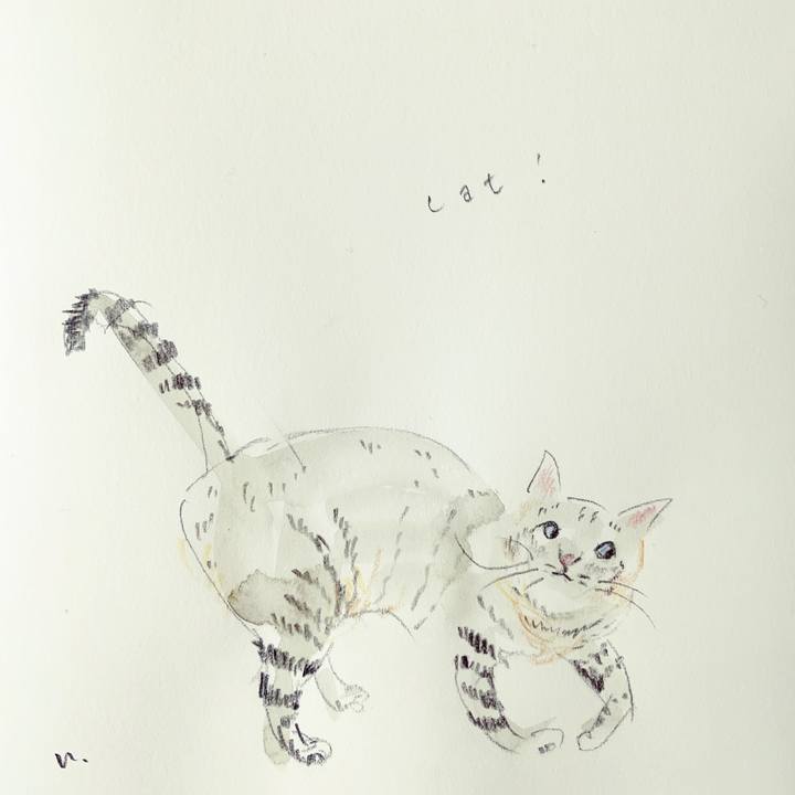 8602b9e6 307f 4a2c a284 5c7f3a719cba 1576495297952