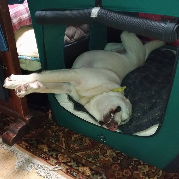 8602c207 29a3 480b ae95 2872df163a96 1547302378875