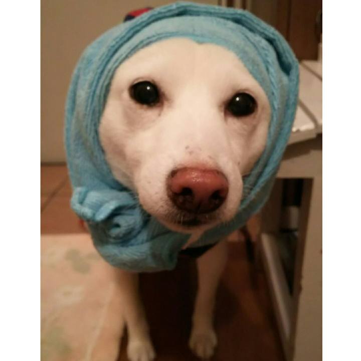 8602ff64 61e8 4675 bc07 beb5c2a48782 1577346570708