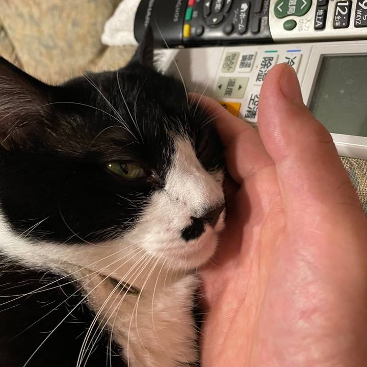 86030a08 c835 453a a7ea 5098b616cca8 1725108673343