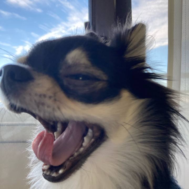 86032b74 5faa 4946 a563 c5de2ff1391e 1608336731199