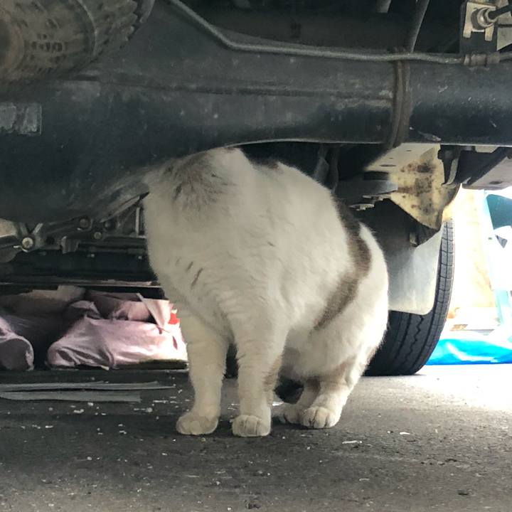 86034495 36a3 42ce 84ce aa8758d6d851 1644051851424