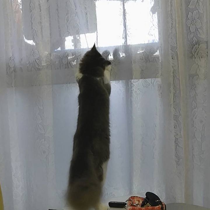 86037464 383c 47f8 8b34 a9214cf54cc9 1571523965570