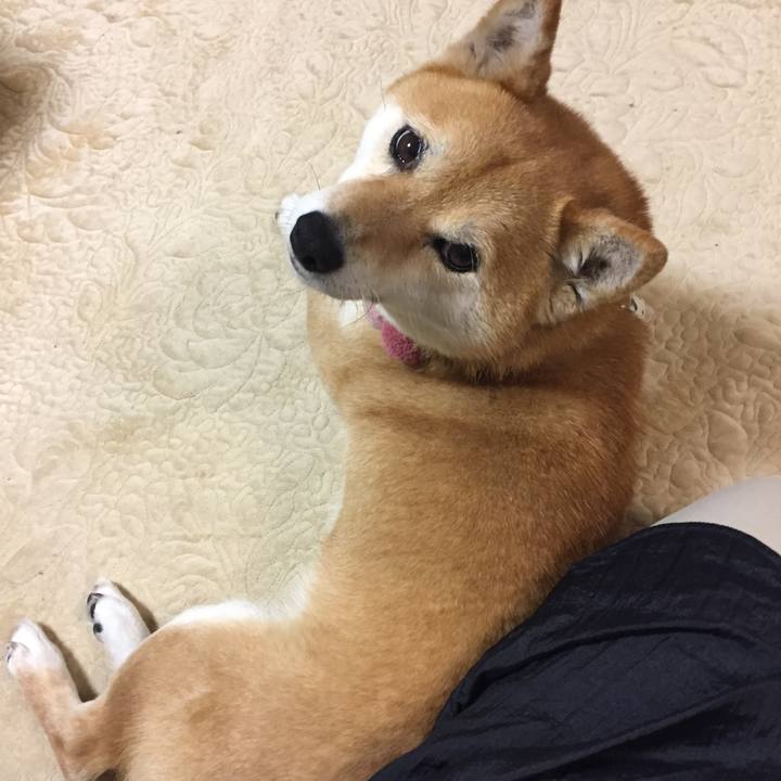 86037475 5895 45e0 9515 5b58c5da32fc 1519949124886