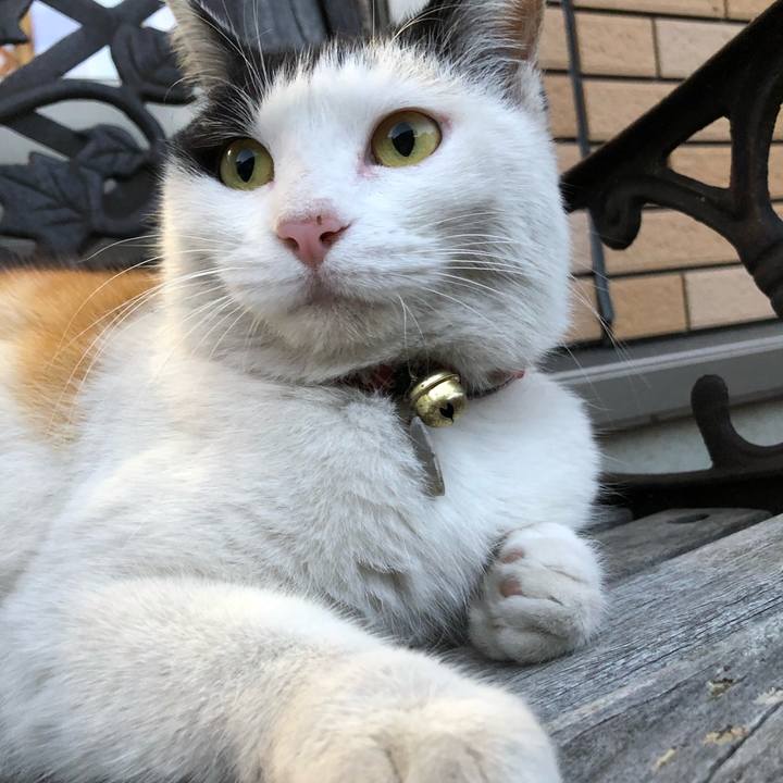 86037b25 6d47 4a12 8af6 4f67ddf0d71f 1615372831418