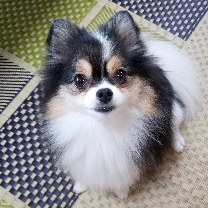 86037fcd dcf5 418b 89b1 171ee108f1fe 1534978970183