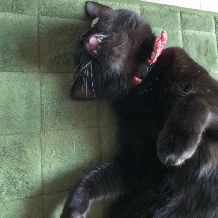 8603b4e0 0f36 4bf0 8542 8c9ce328d4f5 1529363859505