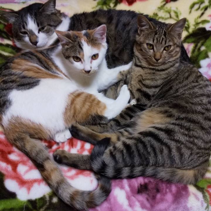 8603c838 0865 42da 83ae 92cf7d64edfe 1642666704648