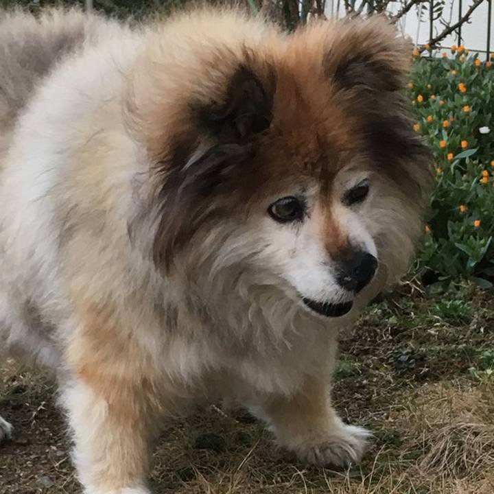 8604006d 5a63 4d94 b7ad c8d6a0a0a8fe 1586221190639