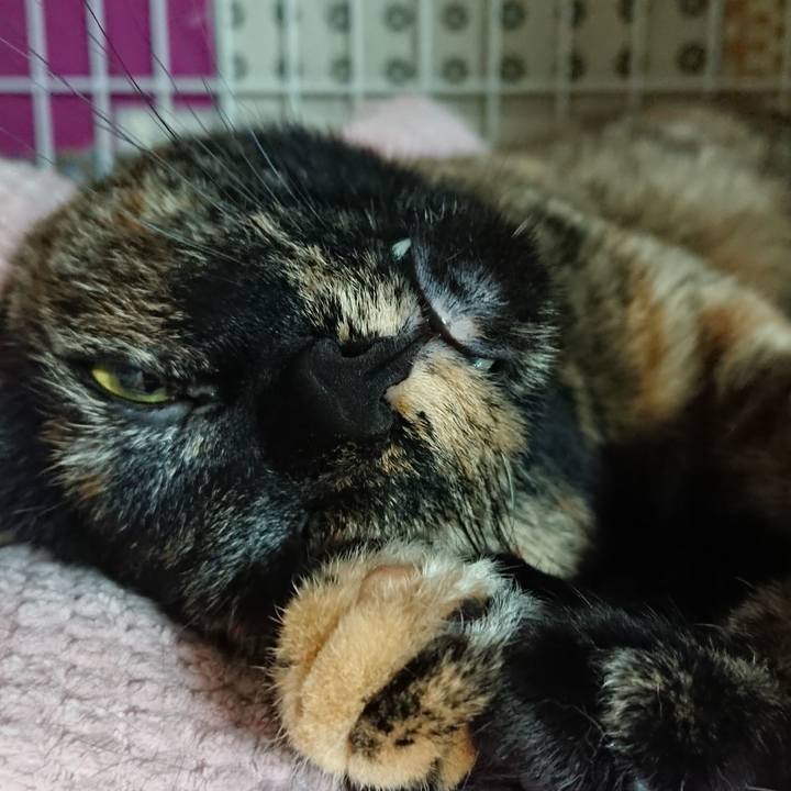 86049ec8 0651 464e 8377 3012e593266c 1526716086723