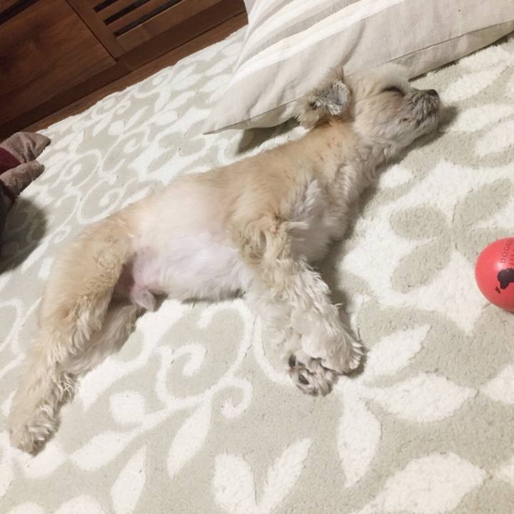 8604cd66 2a44 49e7 aeda 75b6571758bd 1554468355509