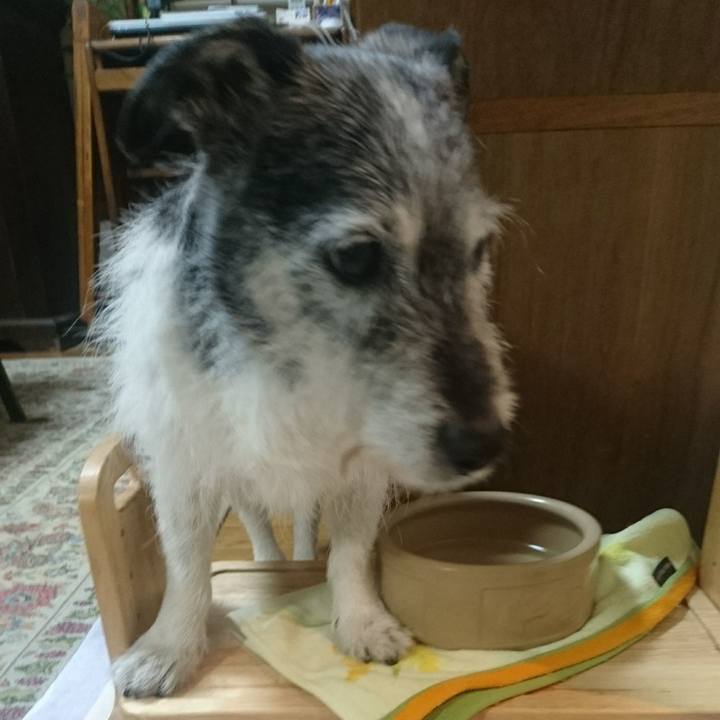 86053f35 9360 4d58 9c15 689f0e847013 1544402900728