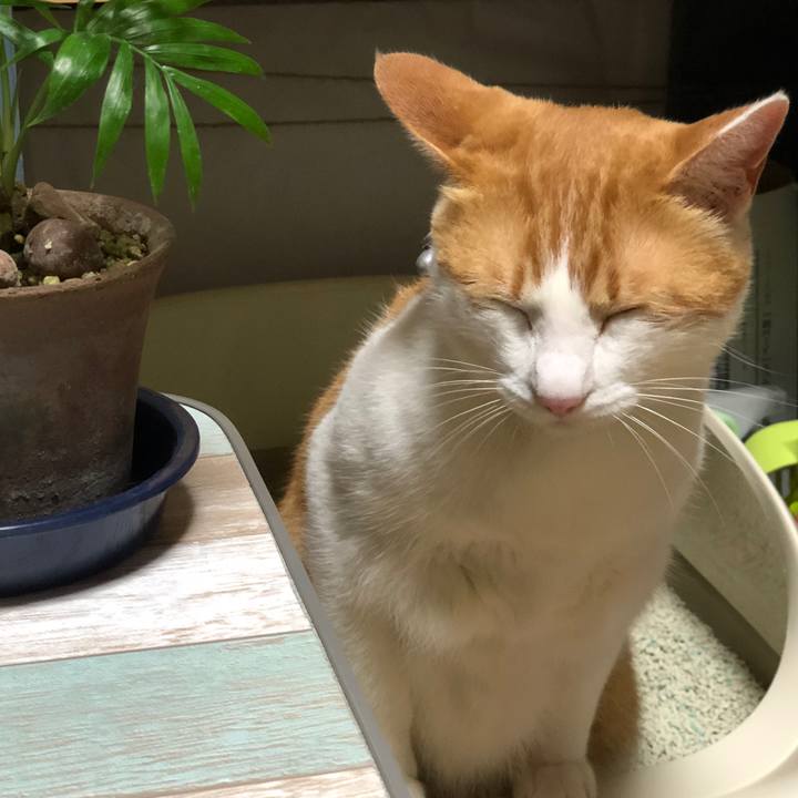 86053f91 ffb7 4bf9 82b7 92777faadc3f 1538831312525