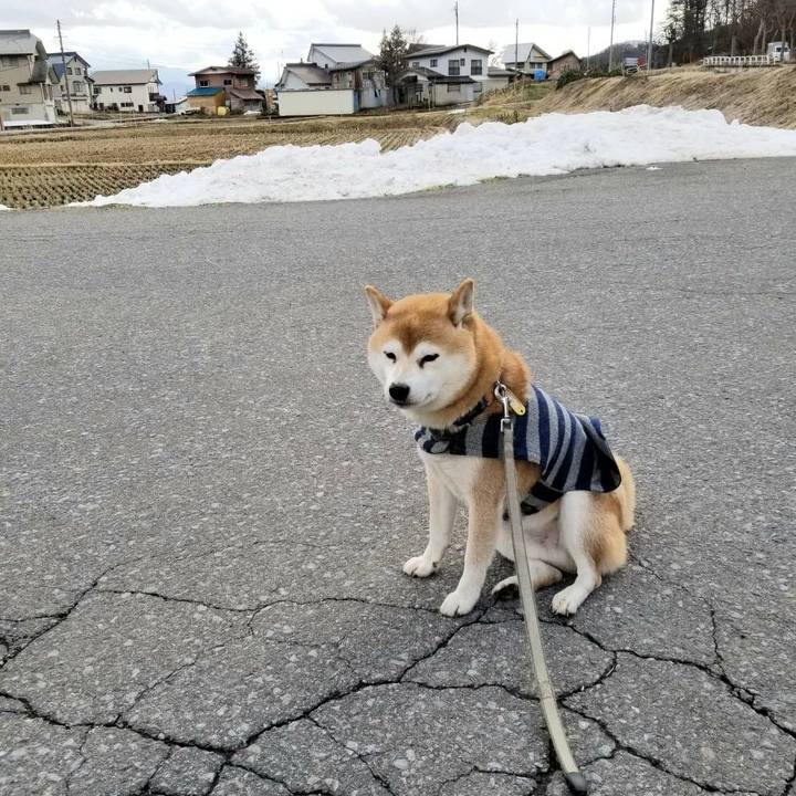 86059b93 d241 48ed 9e82 95f4a458462c 1578632241120