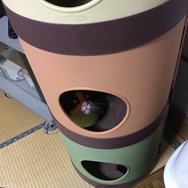 8605a0ab cf71 4731 b7e9 52c0b489e67b 1673697176506