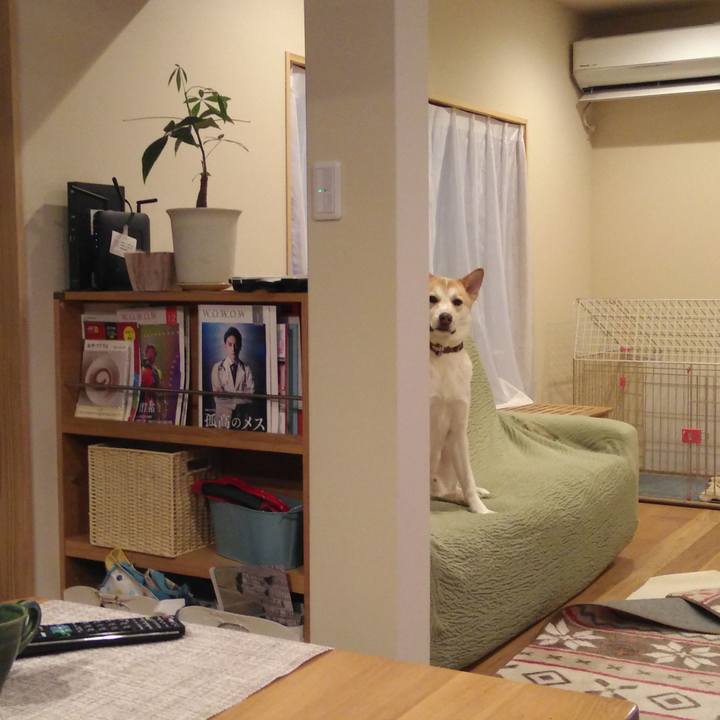 8605a18f 553a 44bf b0cb 7f149c65c620 1546257287333