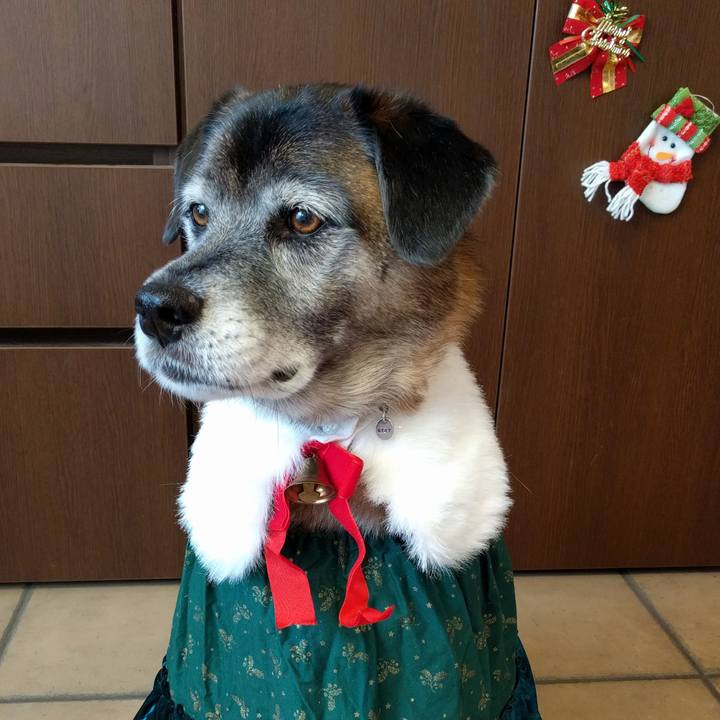 8605fbc5 ee4e 479a a7c8 44d34a66f1e1 1608858928188