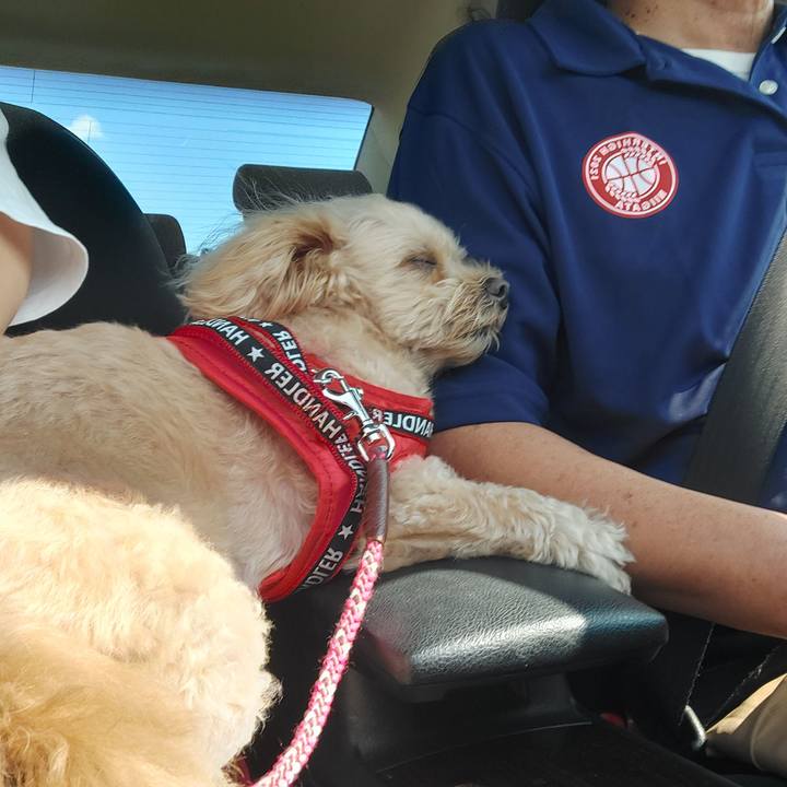 86062143 8be3 4a77 884d 4314f085d71c 1664619507535