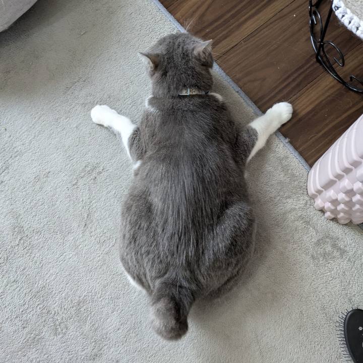 86063a57 ecb4 4f9b 923f 63a2e368ea60 1750996538999