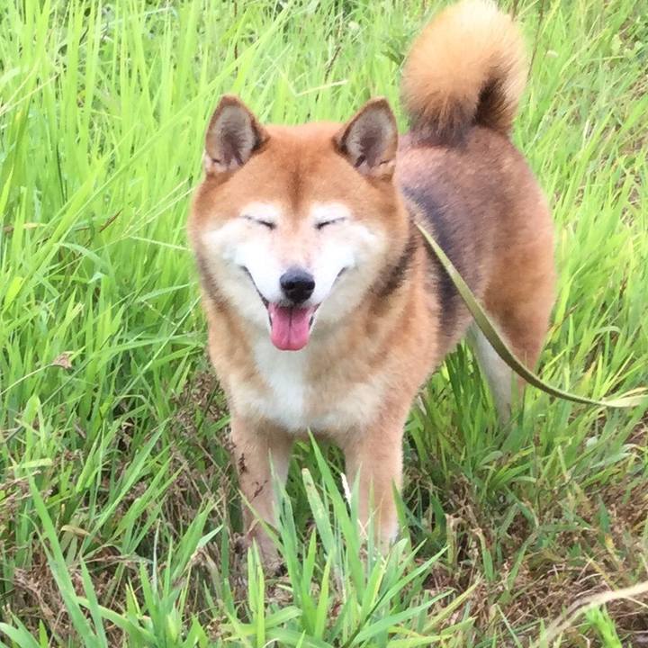 8606525b dda8 4dcf 9301 6487c7fd7370 1598058311608