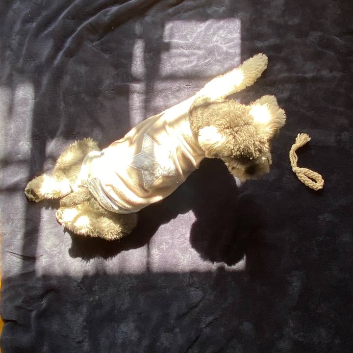 86066737 da01 4853 ae27 3305c883bcb9 1581394038154