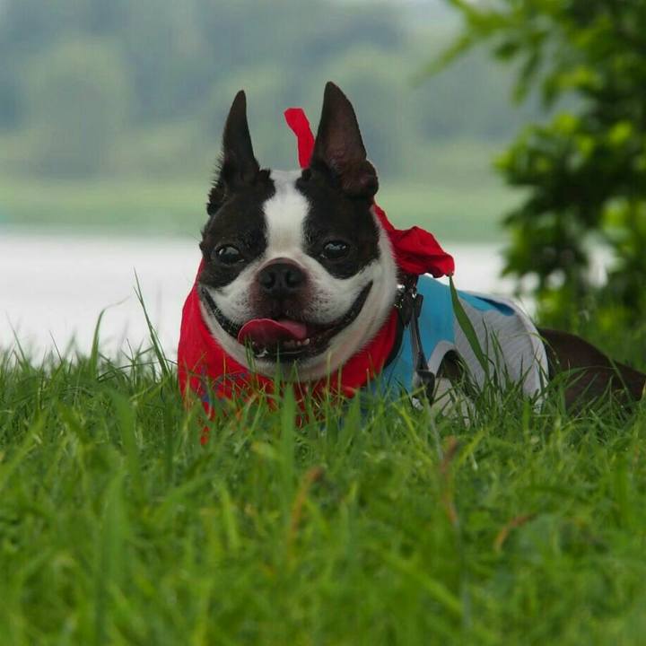 86066bc3 5643 44ce af2c 2cfd17541870 1540701882186