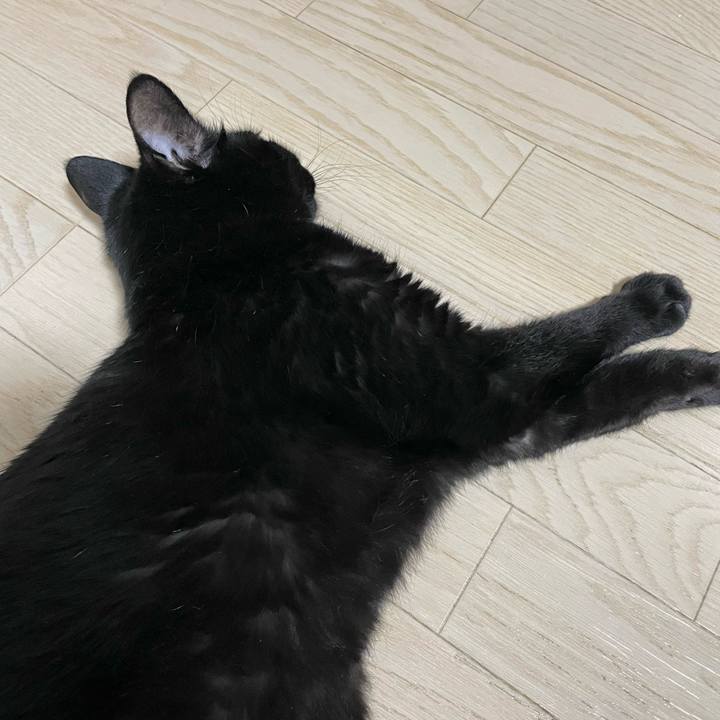 86068406 59b4 4682 9111 1015d0b5c0b2 1772627930223