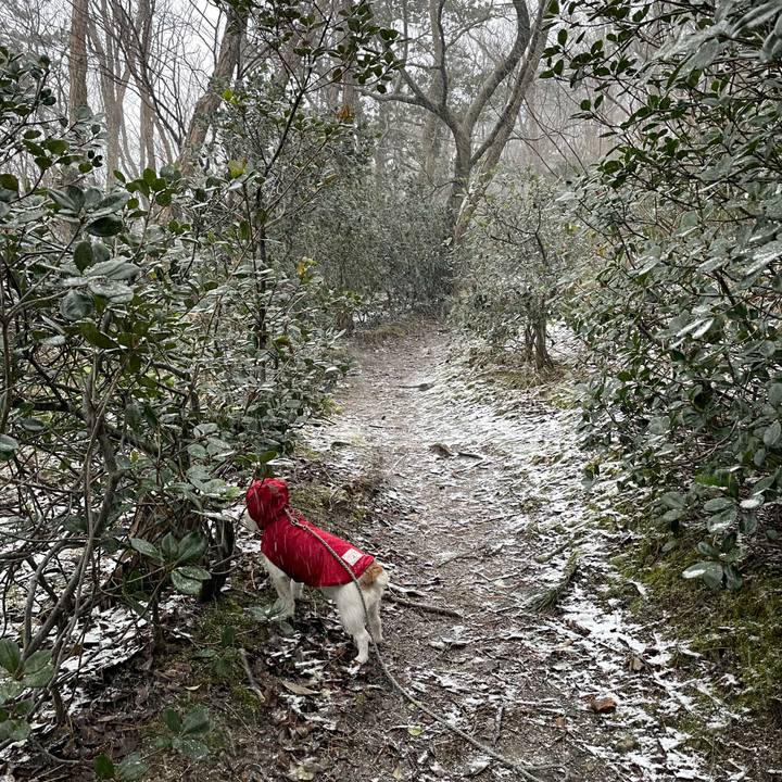 8606d770 a2dc 4dde bade e07e9194dcaa 1613517838336