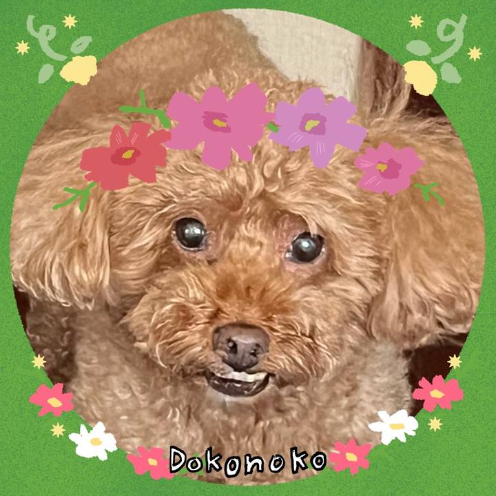 8606f047 1fae 4f67 8956 50d4b30f2edd 1726887097361