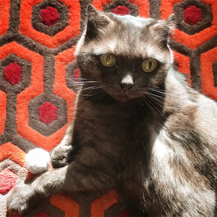 8606fd1a 3341 43c4 af3a c31aa37a29b5 1565513411145