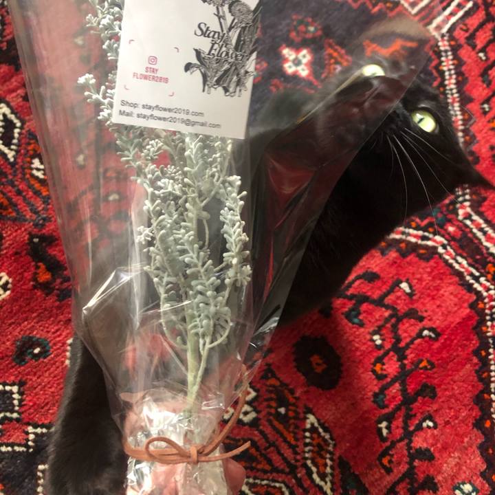 86070228 ae30 4c00 951b 6f2036e3e8ca 1604732262584