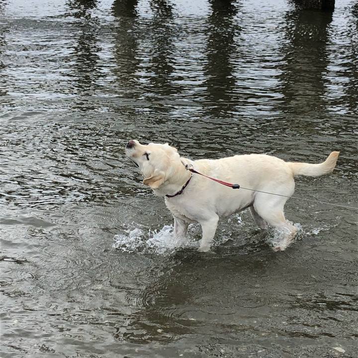 8607169e 467e 41bb 824a 8374f18924a0 1652605514988