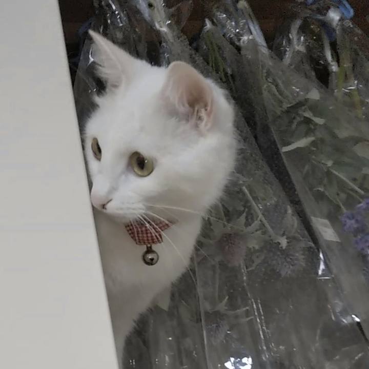 86071819 0826 446c bf43 edc8788edfe7 1629670957182